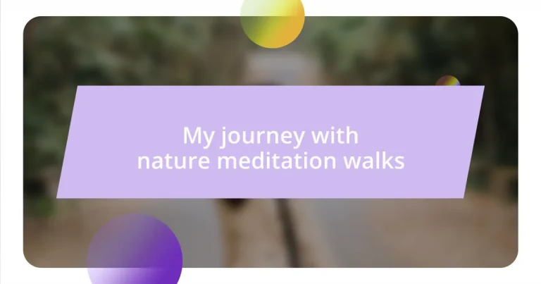 My journey with nature meditation walks