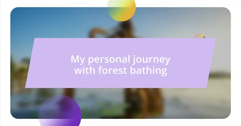 My personal journey with forest bathing