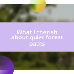 What I cherish about quiet forest paths