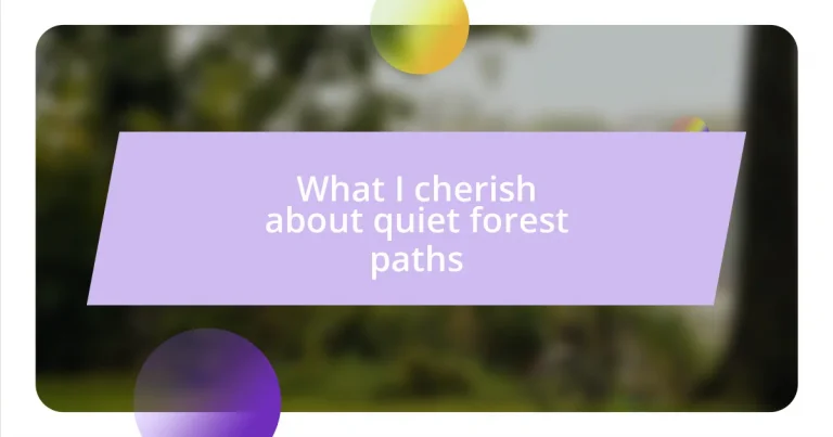 What I cherish about quiet forest paths