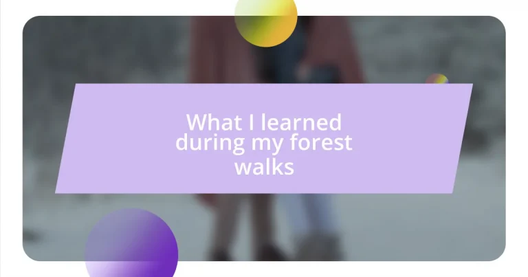 What I learned during my forest walks